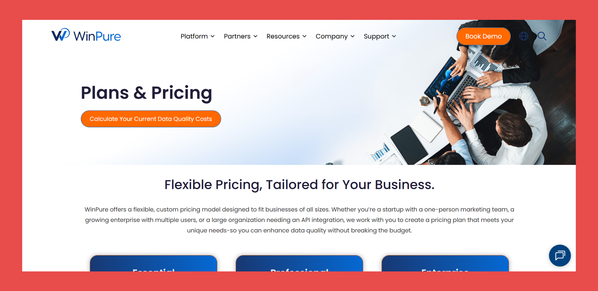 WinPure Pricing Plans