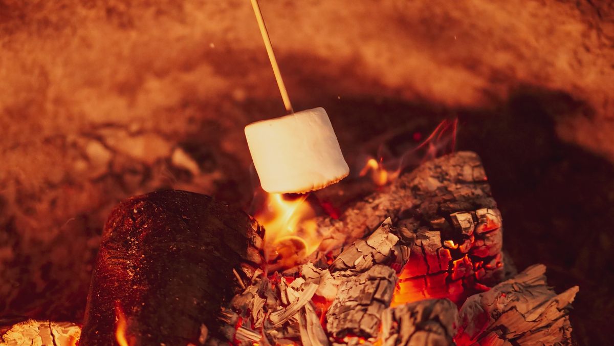 How to Warm up Leads like a Pro