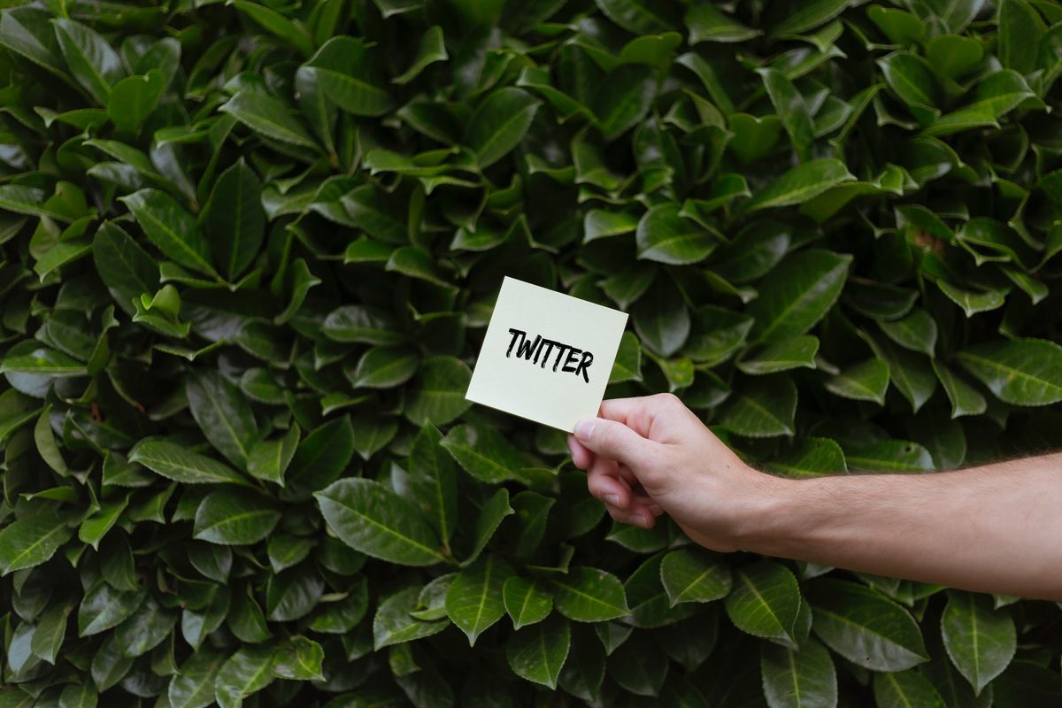 The 8 Best Twitter Email Finders