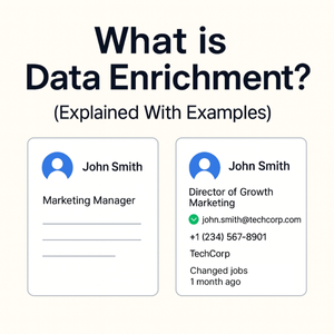 What is Data Enrichment? Explained With Examples