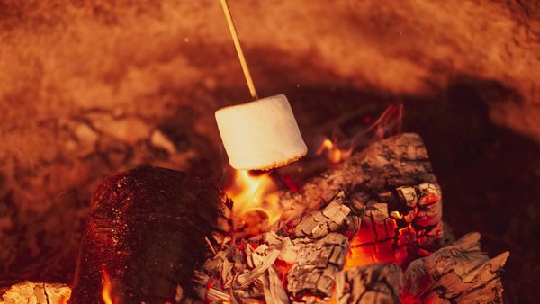 How to Warm up Leads like a Pro